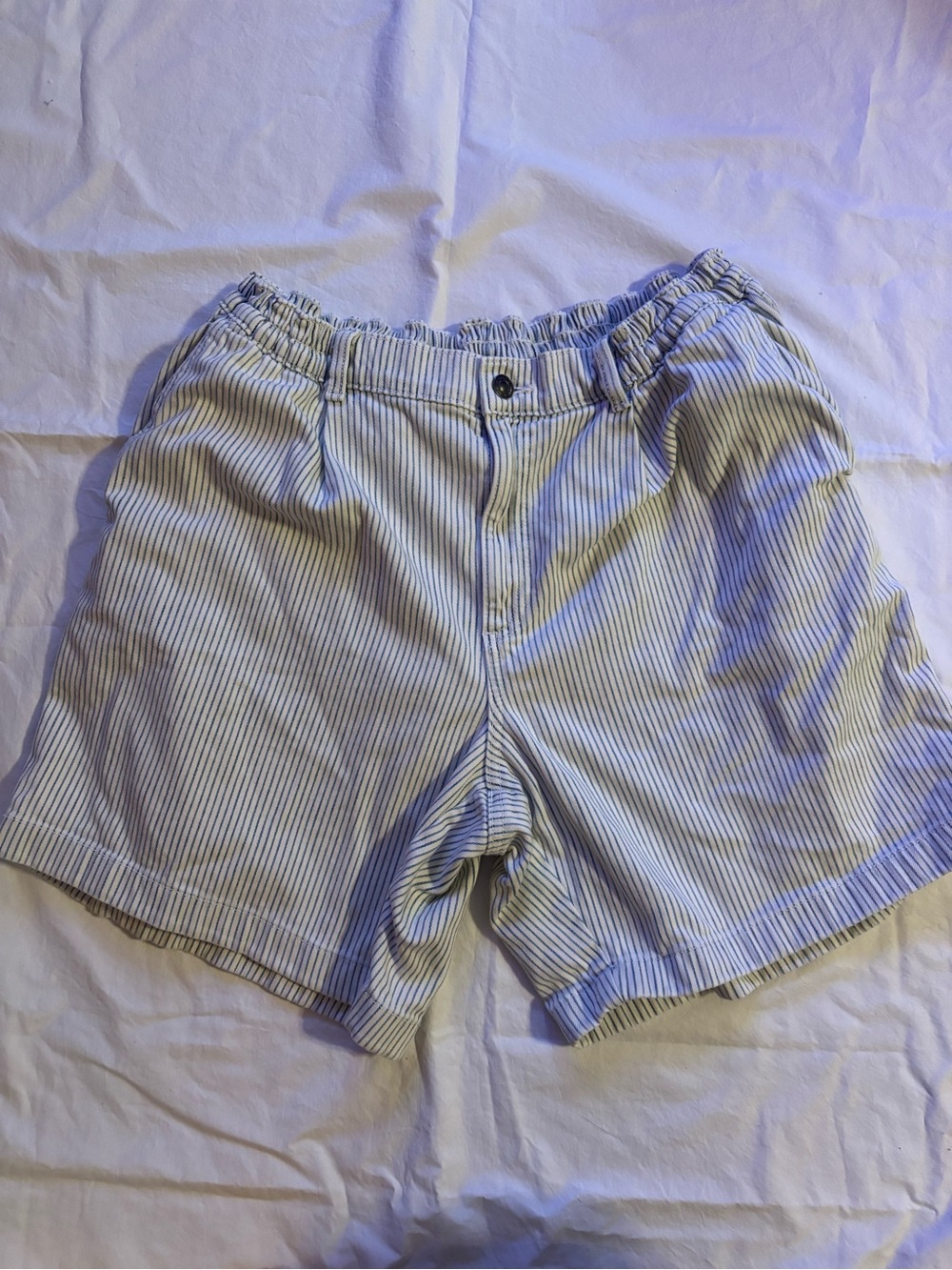 aerie Light Blue Pinstripe Elastic Waist Shorts